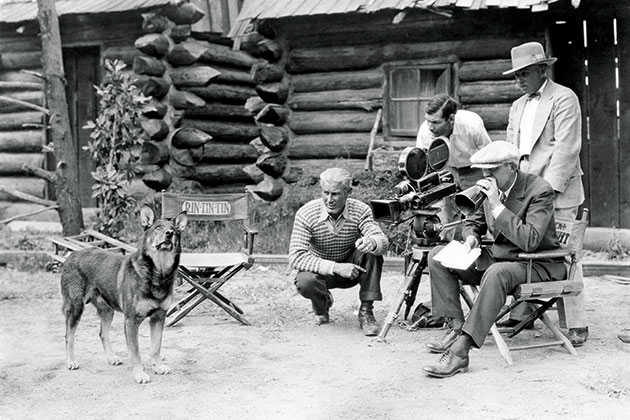Nelijalkainen filmitähti Nelijalkainen filmitähti