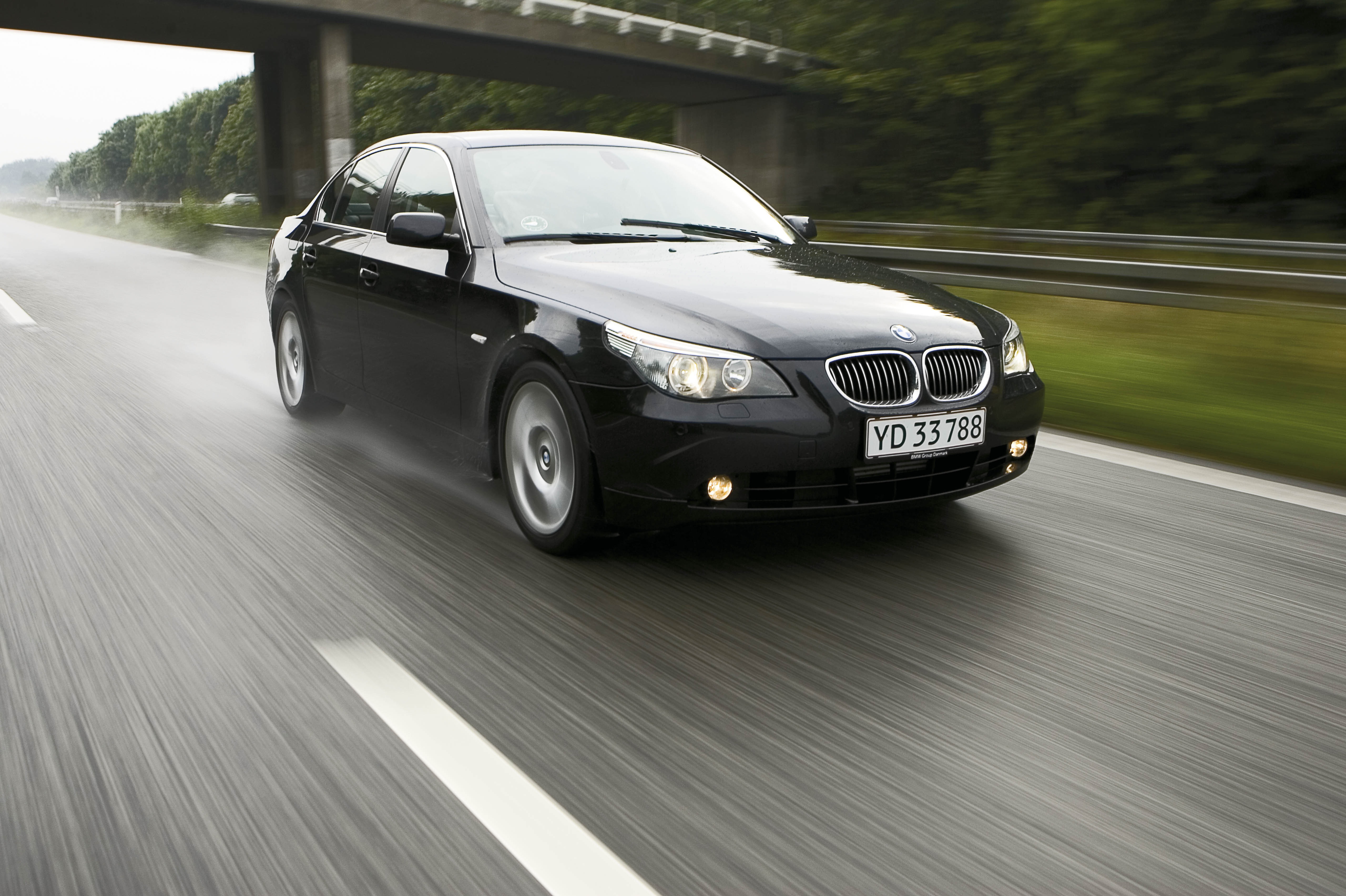 Z pump reebok grizzly