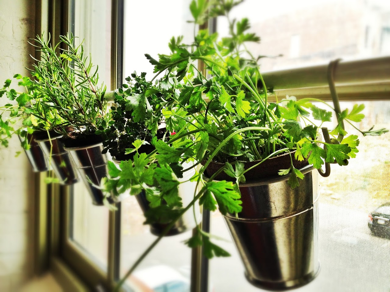 Apartment therapy plants: diy plant markers for your garden ...